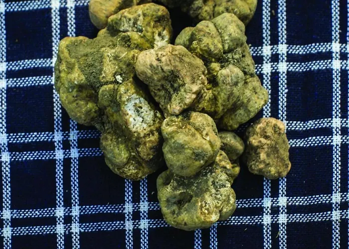 Lejlighed Pesce-dolcetto By Interhome *